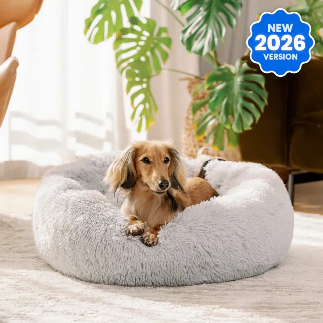 PawHaven™ Calming Donut Dog Bed
